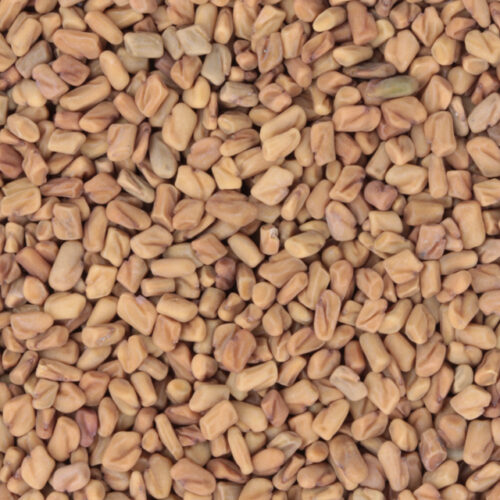 Fenegriek BIO